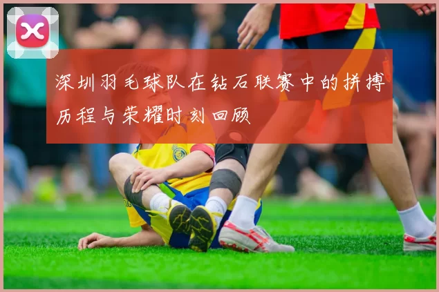 深圳羽毛球队在钻石联赛中的拼搏历程与荣耀时刻回顾