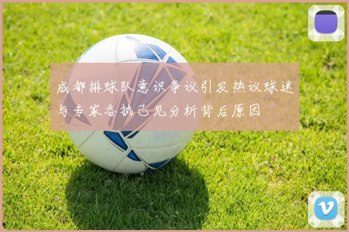成都排球队意识争议引发热议球迷与专家各执己见分析背后原因