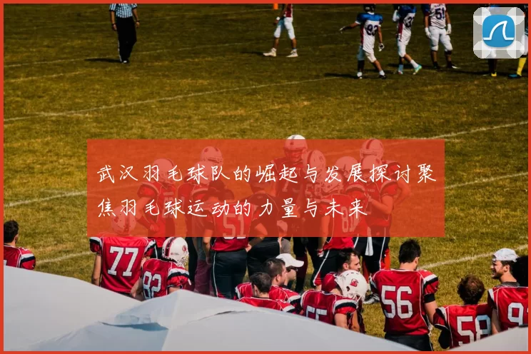 武汉羽毛球队的崛起与发展探讨聚焦羽毛球运动的力量与未来