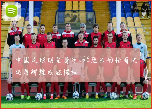 中国足球明星身高195厘米的传奇之路与辉煌成就揭秘