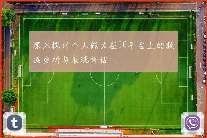 深入探讨个人能力在IG平台上的数据分析与表现评估
