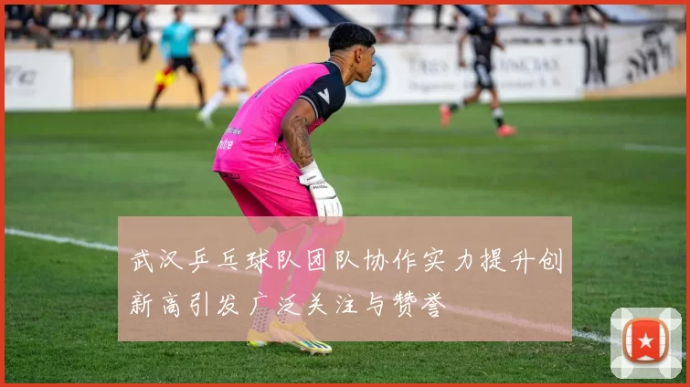 武汉乒乓球队团队协作实力提升创新高引发广泛关注与赞誉