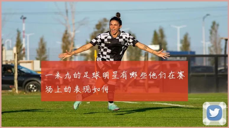 一米九的足球明星有哪些他们在赛场上的表现如何