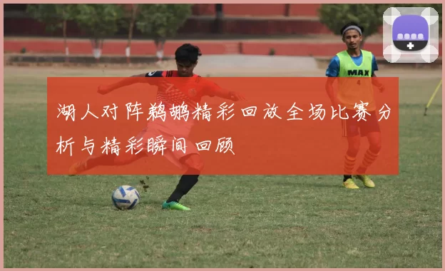 湖人对阵鹈鹕精彩回放全场比赛分析与精彩瞬间回顾