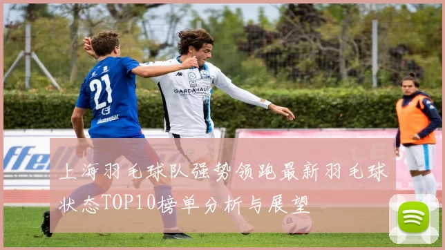 上海羽毛球队强势领跑最新羽毛球状态TOP10榜单分析与展望