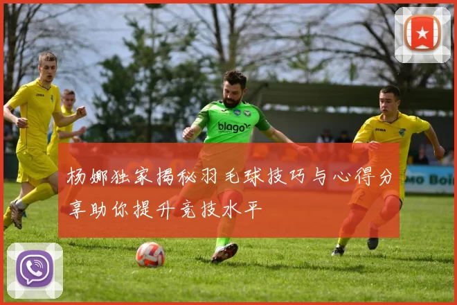 杨娜独家揭秘羽毛球技巧与心得分享助你提升竞技水平