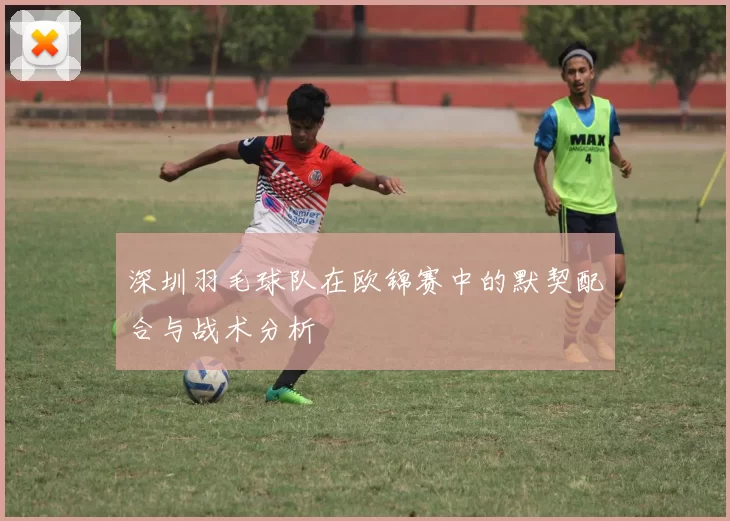 深圳羽毛球队在欧锦赛中的默契配合与战术分析