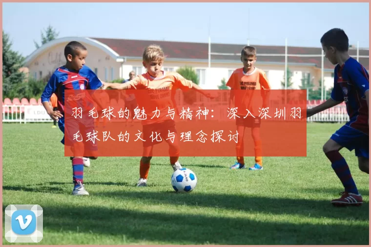 羽毛球的魅力与精神：深入深圳羽毛球队的文化与理念探讨