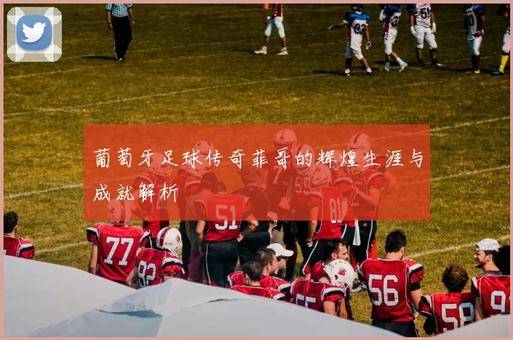葡萄牙足球传奇菲哥的辉煌生涯与成就解析