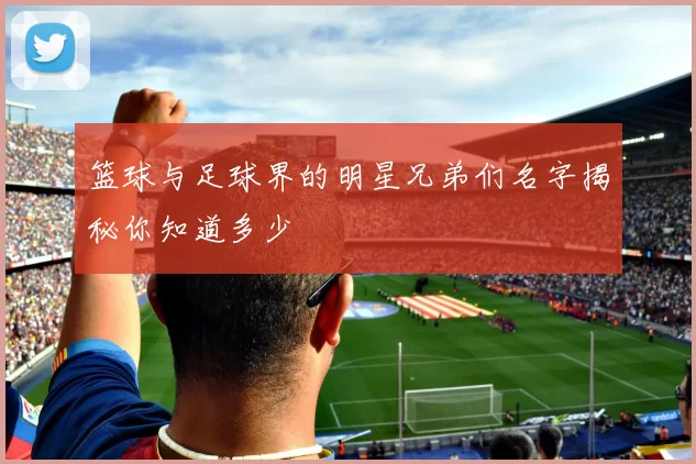 篮球与足球界的明星兄弟们名字揭秘你知道多少