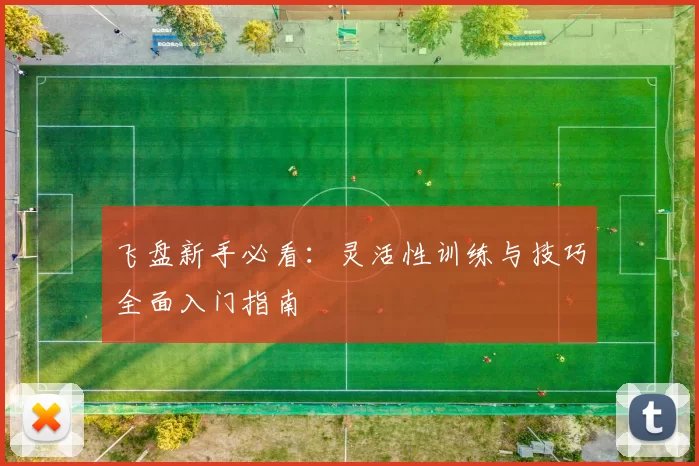 飞盘新手必看：灵活性训练与技巧全面入门指南
