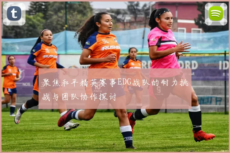 聚焦和平精英赛事EDG战队的耐力挑战与团队协作探讨