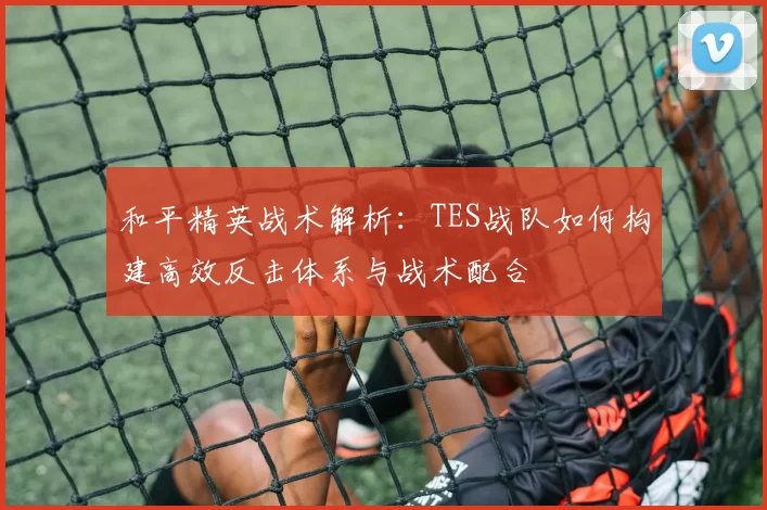 和平精英战术解析：TES战队如何构建高效反击体系与战术配合