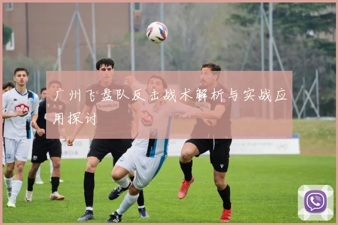 广州飞盘队反击战术解析与实战应用探讨