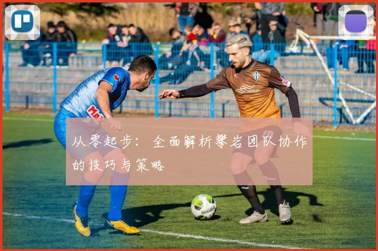 从零起步：全面解析攀岩团队协作的技巧与策略