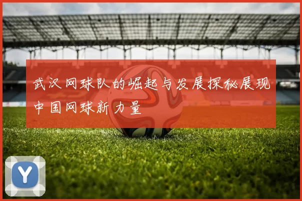 武汉网球队的崛起与发展探秘展现中国网球新力量