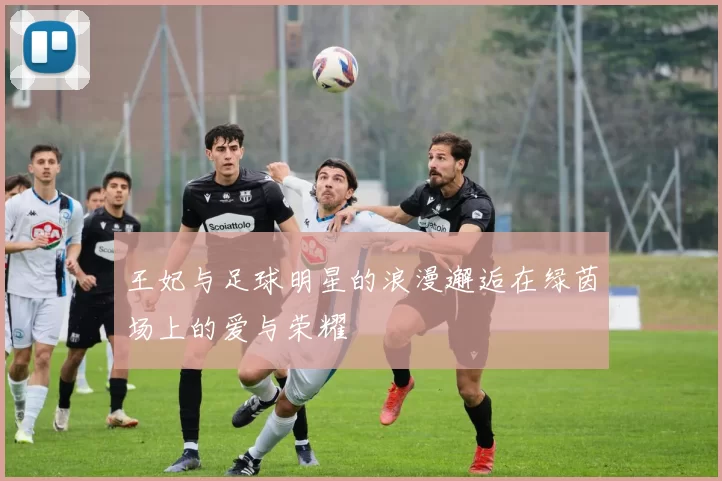 王妃与足球明星的浪漫邂逅在绿茵场上的爱与荣耀