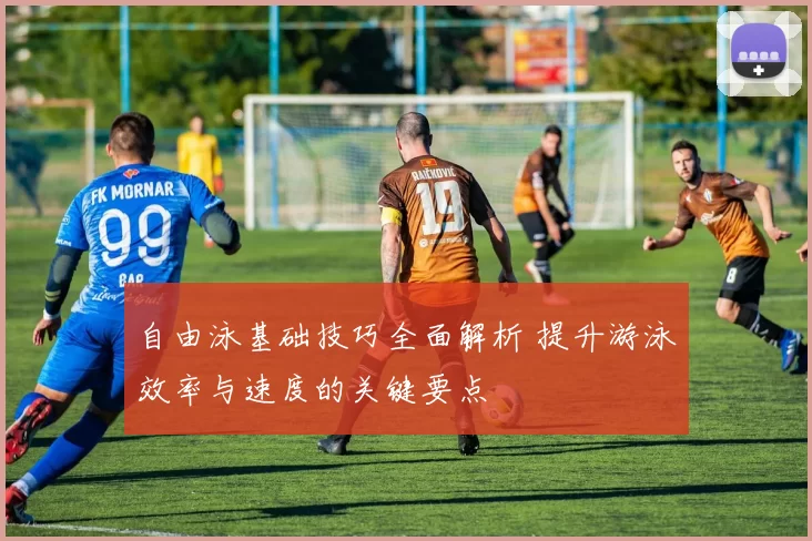 自由泳基础技巧全面解析 提升游泳效率与速度的关键要点