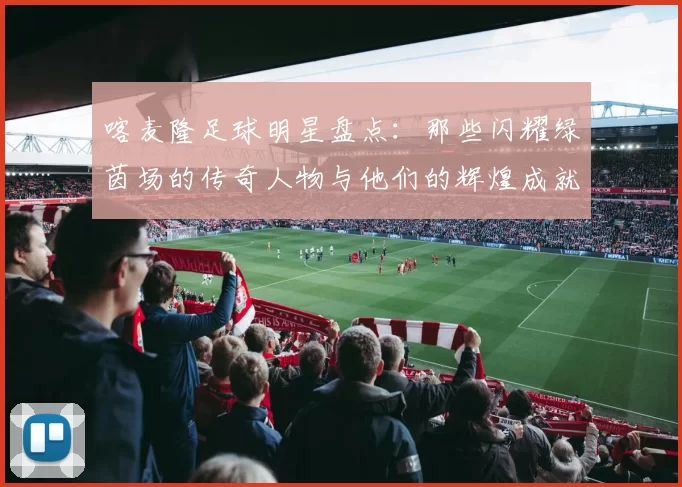 喀麦隆足球明星盘点：那些闪耀绿茵场的传奇人物与他们的辉煌成就