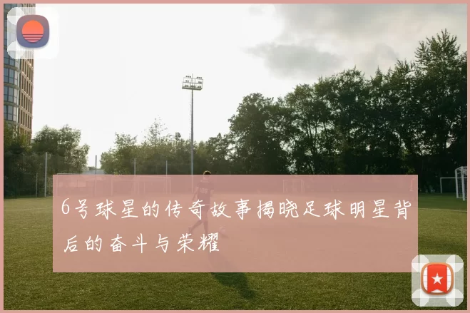 6号球星的传奇故事揭晓足球明星背后的奋斗与荣耀
