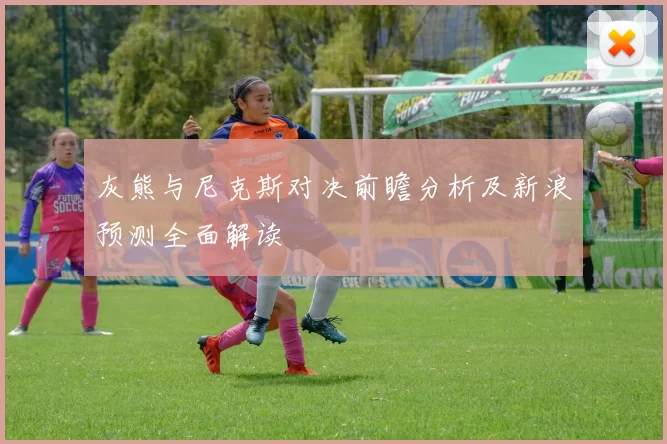 灰熊与尼克斯对决前瞻分析及新浪预测全面解读