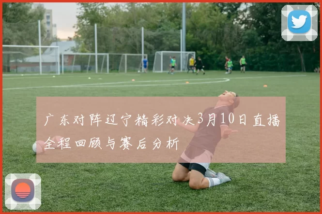 广东对阵辽宁精彩对决3月10日直播全程回顾与赛后分析