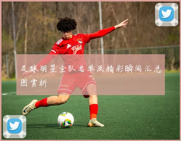 足球明星全队名单及精彩瞬间汇总图赏析