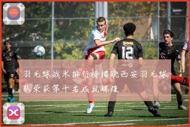 羽毛球战术排行榜揭晓西安羽毛球队荣获第十名成就辉煌