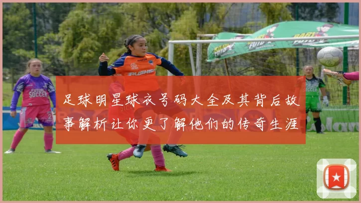 足球明星球衣号码大全及其背后故事解析让你更了解他们的传奇生涯