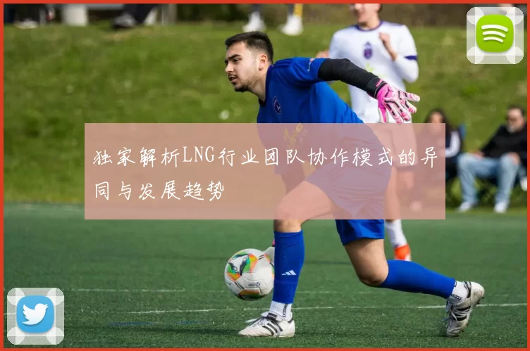 独家解析LNG行业团队协作模式的异同与发展趋势